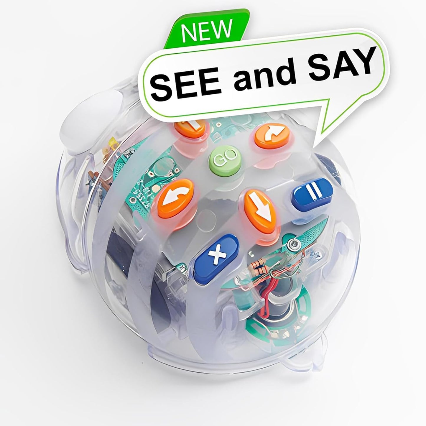 Create & Debugging Basic Robotics Programs: Blue-Bot Programmable See & Say Version