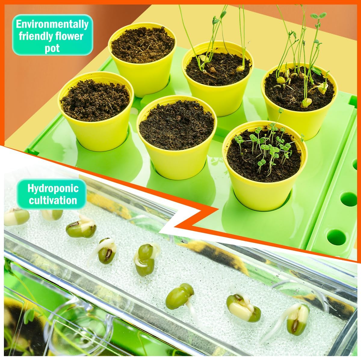 Kids Plant Growing Kit - Kids Greenhouse & Flower Growing Kit with Hydroponic Growing System, Thermometer,Wind Vane & Tools, Educational STEM Plant Growing Set