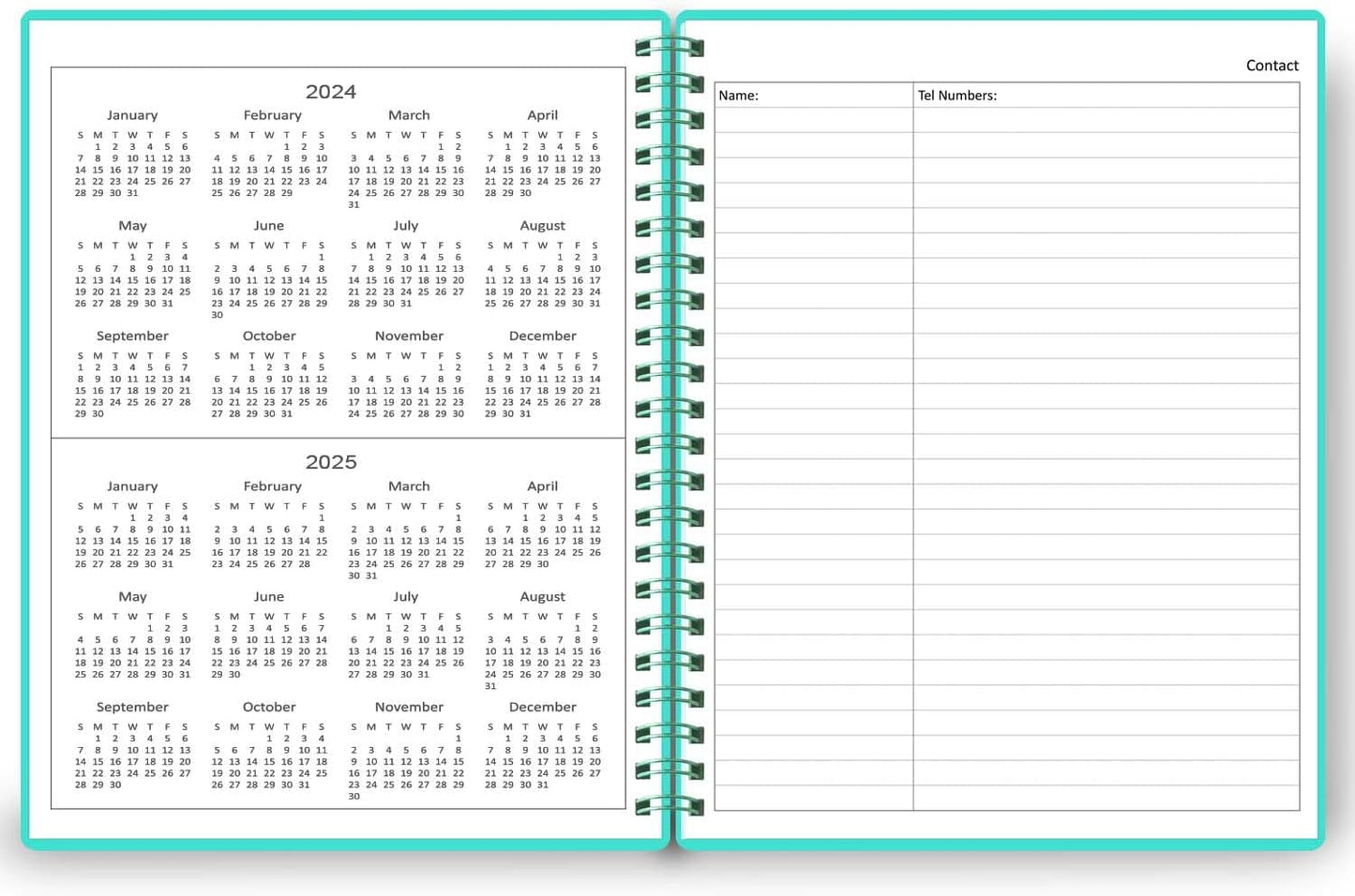 Undated Daily Planner - Undated Planner with Hourly Schedules, Action Items and Follow-up, A4 Daily Organizer Notebook to Increase Productivity, Appointment Book for Time Management, 8.5 × 11 Inch