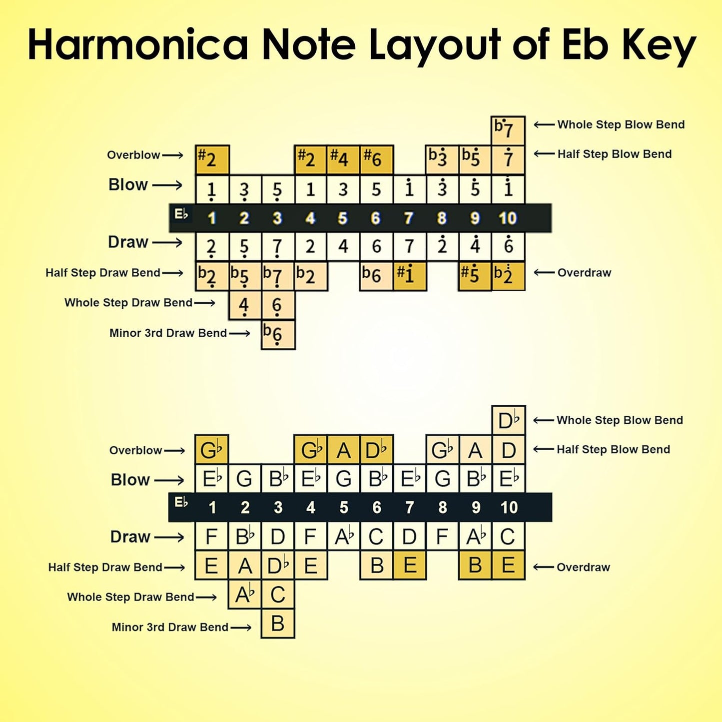 Diatonic Harmonica of E flat Key,Blues Mouth Organ 10 Hole 20 Tones, Reed of Phosphor Bronze, ABS Combo, Easy-Clean Cover,10 Hole Blues Harp for Adult, Beginner