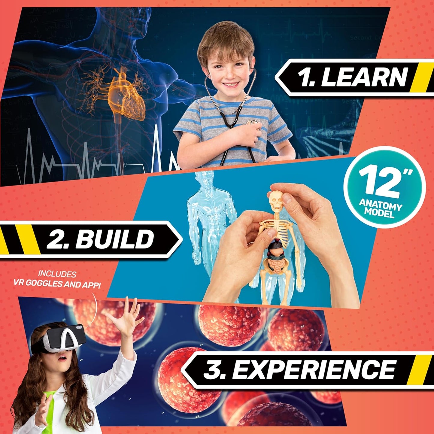 Bill Nye's Science Squad: Body Lab VR - Virtual Reality Kids Science Kit, Book and Interactive Learning Activity Set - for Ages 8 and Up
