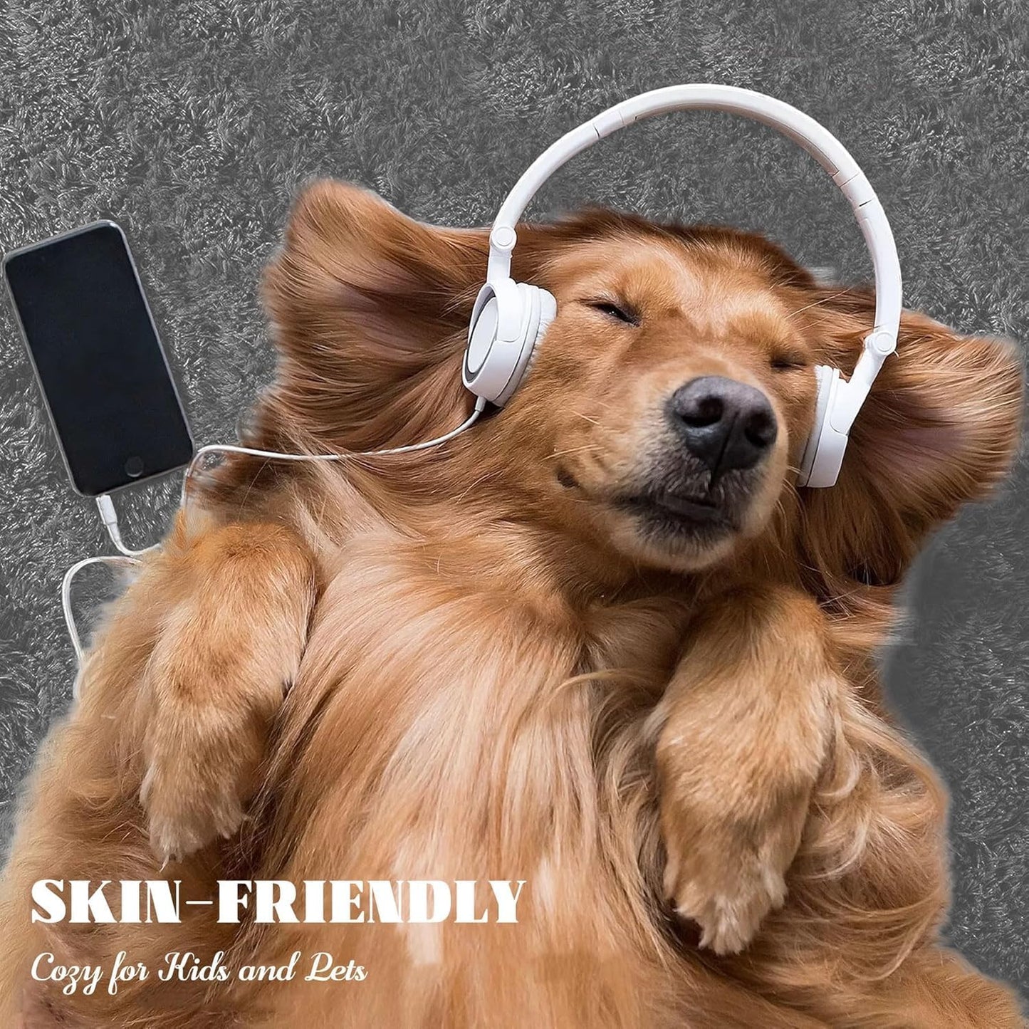 4x6 Area Rug for Living Room: Fluffy Shag Soft Washable Rugs Fuzzy Plush Indoor Carpet for Bedroom Nursery Playroom Dorm Kids Girls Boys Room (Dark Grey, 4'x6')