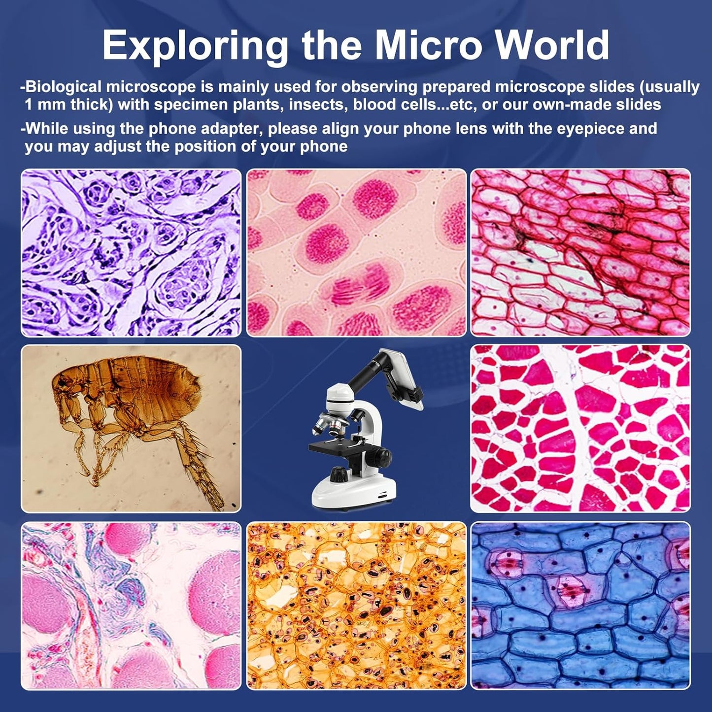 Microscope for Adults Kids Students, 100X-2000X Microscopes, Metal-Body Dual LED Illumination, Biological Compound Monocular Microscope Kit for School Lab, Homeschool w/Phone Adapter