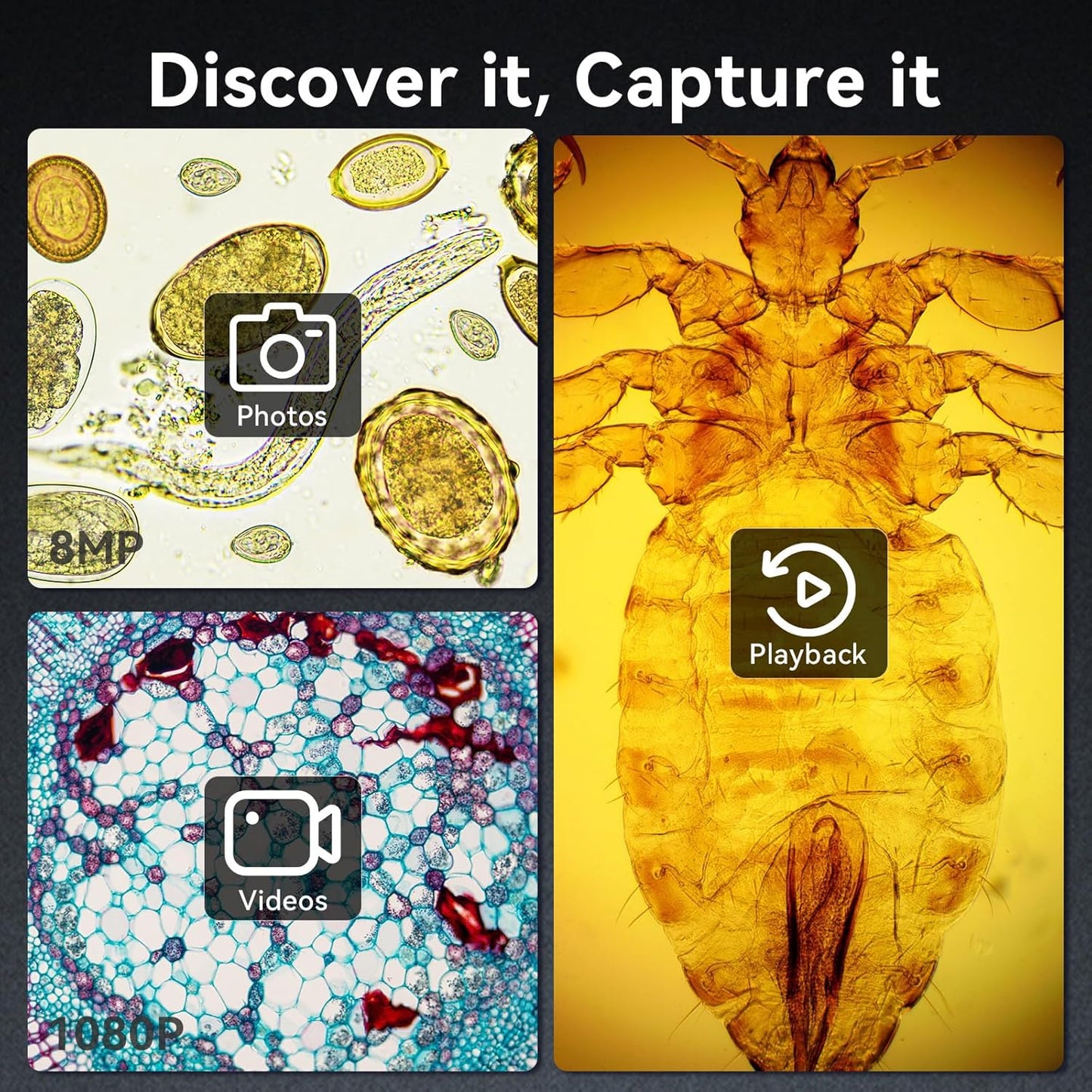 TOMLOV DM301 Pro Microscope for Kids Adults Students, Digital Microscope with 7" Screen, USB & HDMI Output, Wireless Biological Educational Science Scope Camera with Slides Kits for Classroom Home Lab