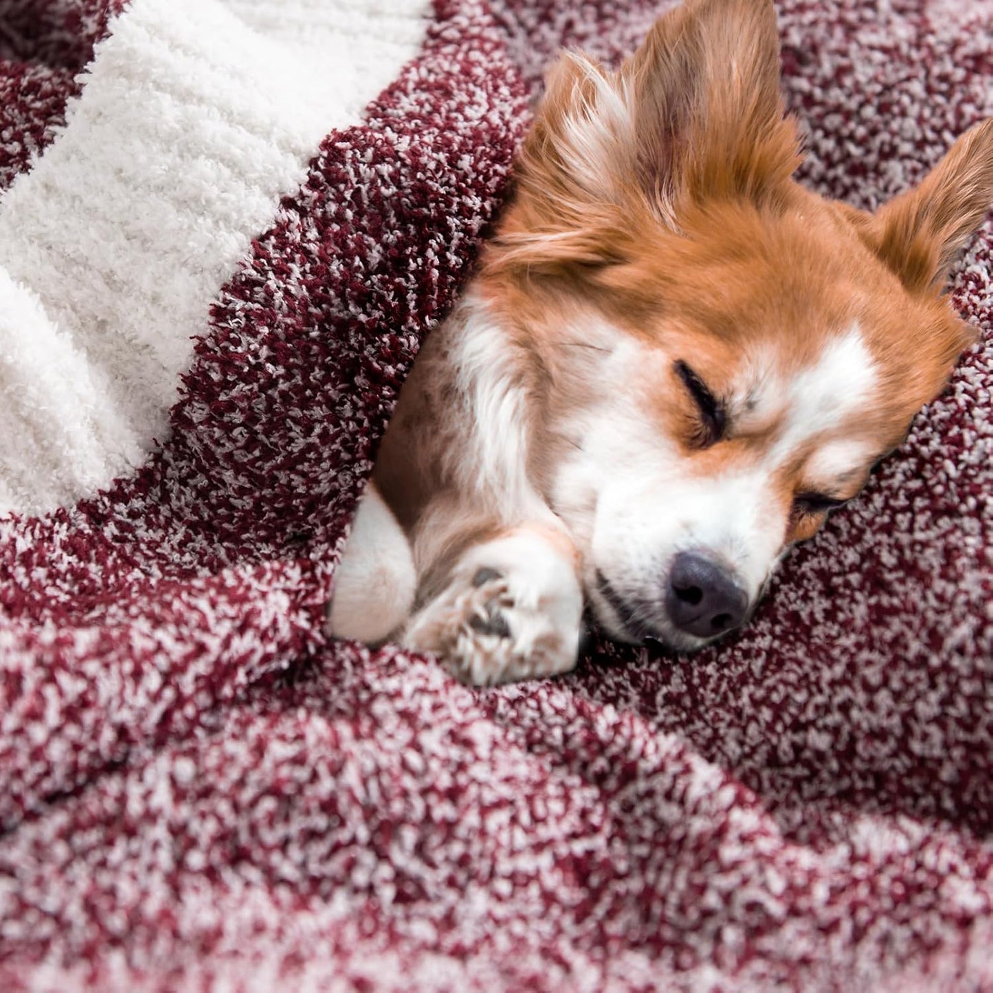 NEXHOME PRO Soft Throw Blankets for Couch, Reversible Warm Blankets Cozy Knit Blanket for Women, Fuzzy Plush Lightweight Throws for Sofa, Bed, Picnic, Wine 50 x 60 inches