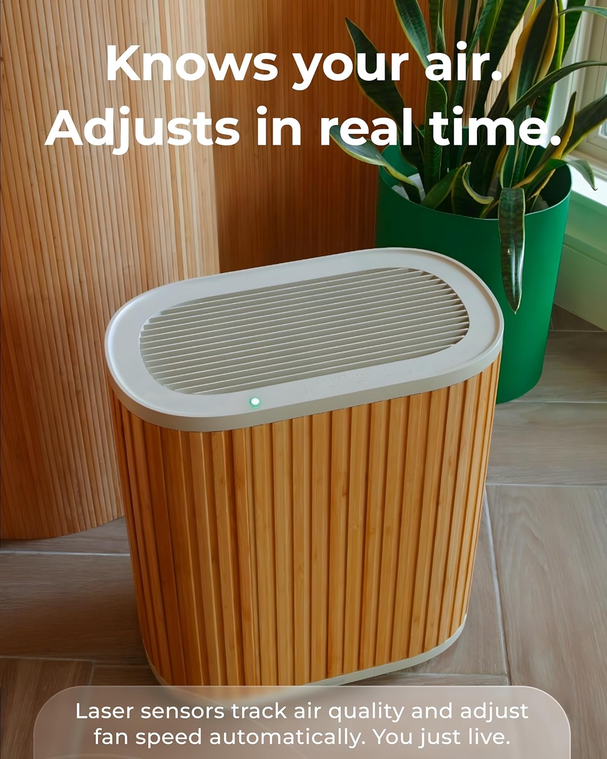 Windmill Air Purifier for Home - 3-In-1 Filtration for Smoke & More - True HEPA Filter, Activated Carbon, & Pre-Filter - Covers Up To 1950 sq ft - Ultra-Quiet - App Compatible - Bamboo