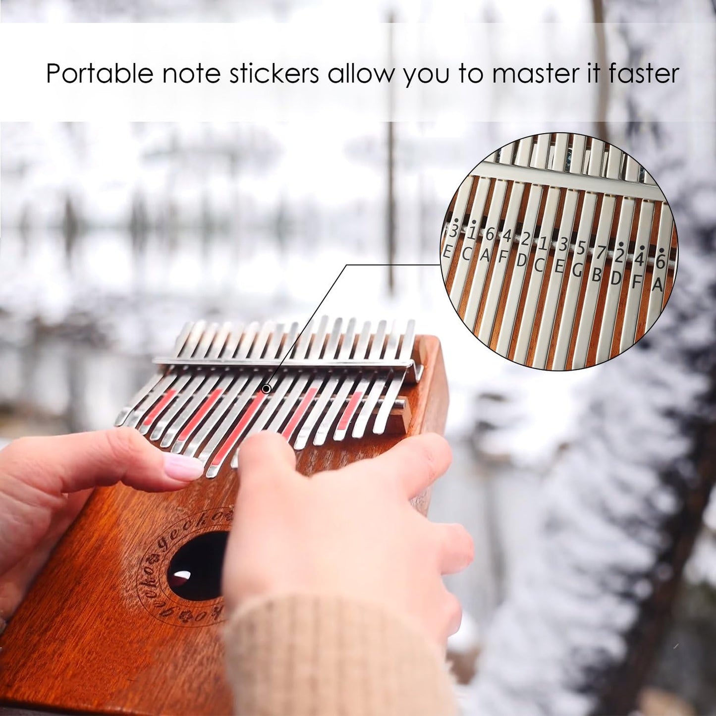 GECKO Kalimba 17 Keys Thumb Piano with Waterproof Protective Box, Tune Hammer and Study Instruction, Portable Mbira Sanza Finger Piano, Meditation Sound, Gift for Beginners and Professional
