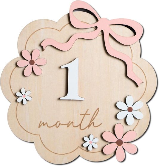 Baby Monthly Milestone Sign,1-12 Monthly Baby Milestone, Month Milestone Baby Girl, Baby Months Milestone, Newborn Photography Props Double-Sided (B11)