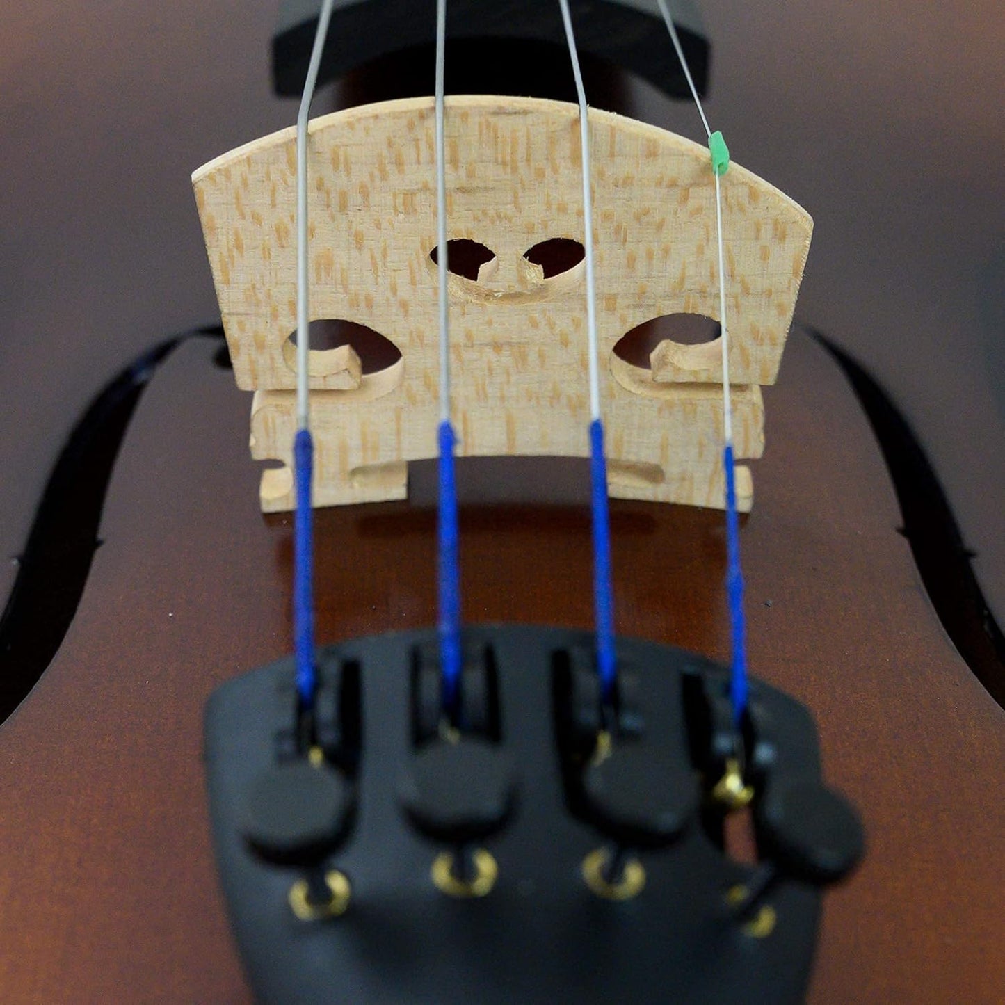 Bunnel Premier Violin Outfit 3/4 Size - Carrying Case and Accessories Included — Solid Maple Wood and Ebony Fittings By Kennedy Violins