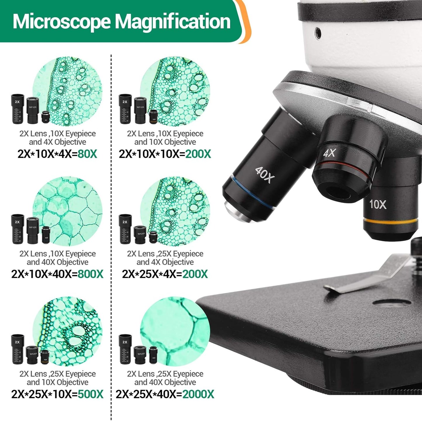 BNISE Microscope kit for Kids Adults Students, 40X-2000X Magnification, Prepared Slides Kit, Dual LED Illumination, All Glass Optics, and Cordless Capability for Children Beginner