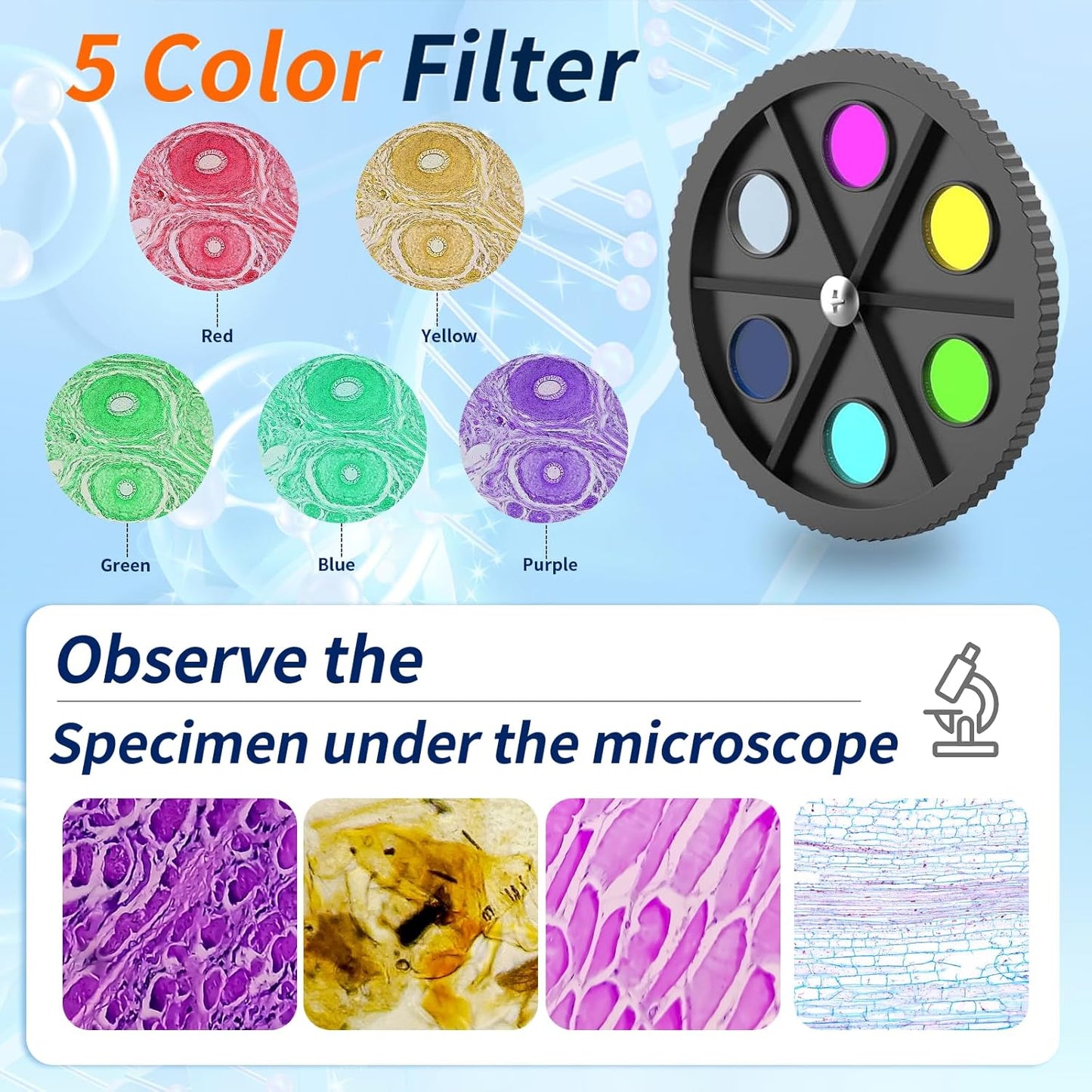 Microscope Magnification 40X-2500X WF10x and WF25x Eyepieces, Dual LED Illumination, Adult Microscope for Schools Home Labs Educational Use