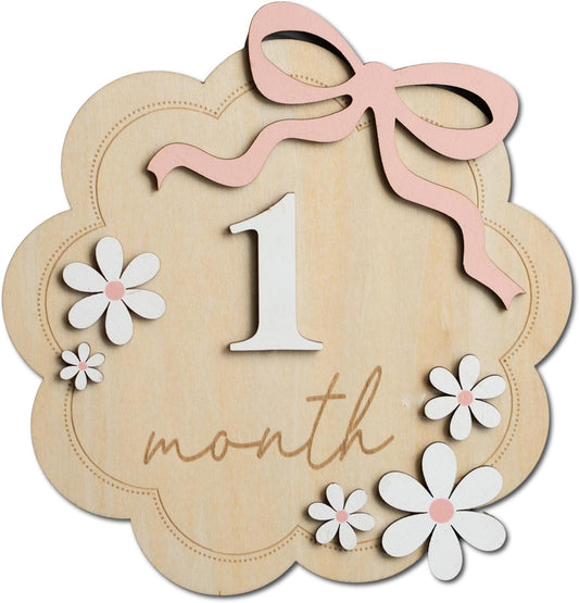 Baby Monthly Milestone Sign,1-12 Monthly Baby Milestone, Month Milestone Baby Girl, Baby Months Milestone, Newborn Photography Props Double-Sided (B12)