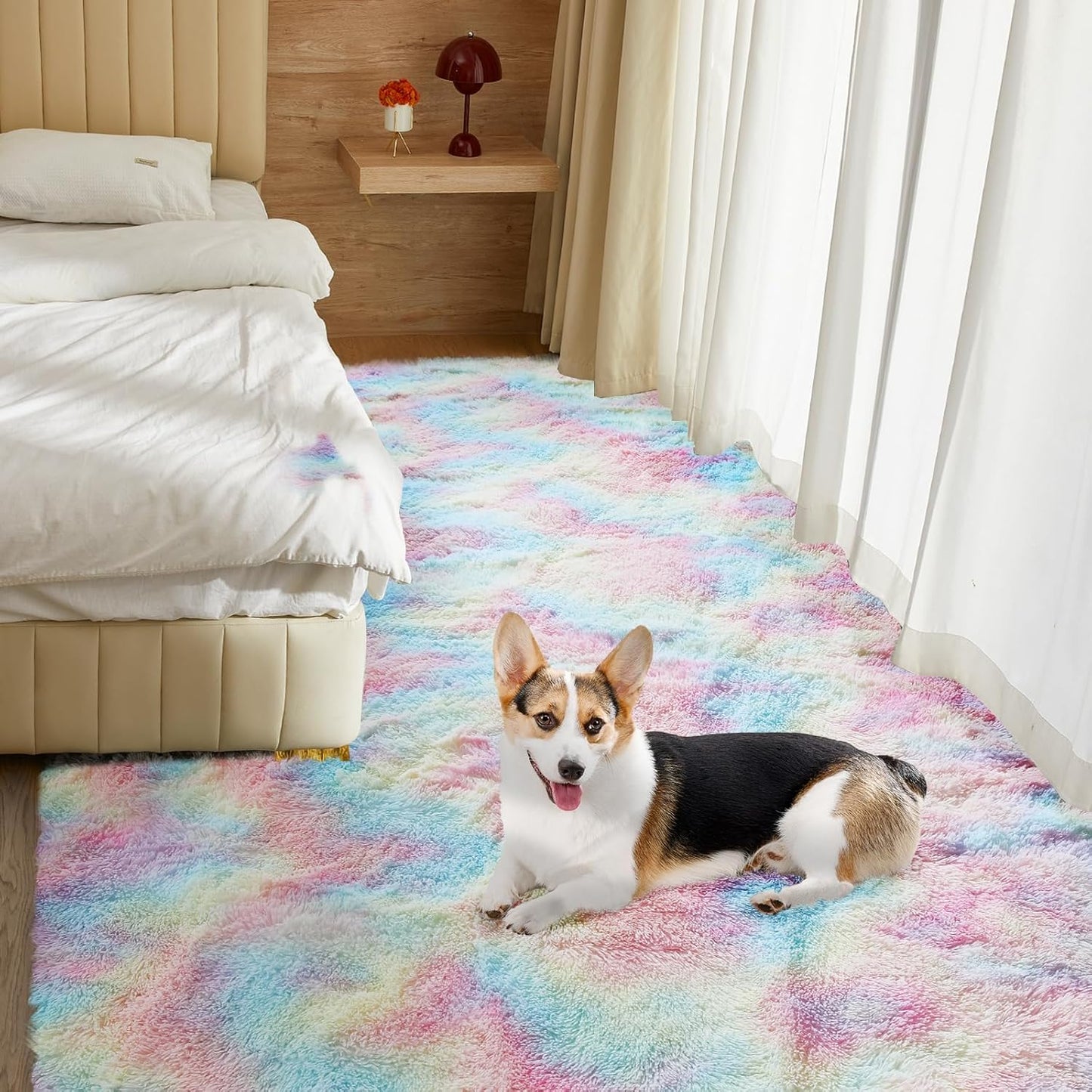 Fluffy Colorful Rug for Living Bedroom, Rainbow Fluffy Soft Plush Area Rugs for Girls Bedroom, Fuzzy Nursery Rug for Baby's Toddler's，Clorful Room Decor for Teenage, Easy-Cleaning, Non Shedding, 3X4