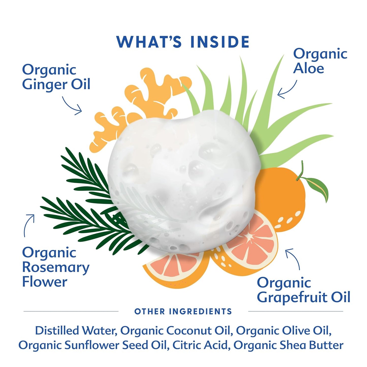 Motherlove Baby & All Soap (32 oz) Gentle Foaming All-Purpose Castile Soap Made with Organic Ingredients – Refreshing Ginger Grapefruit