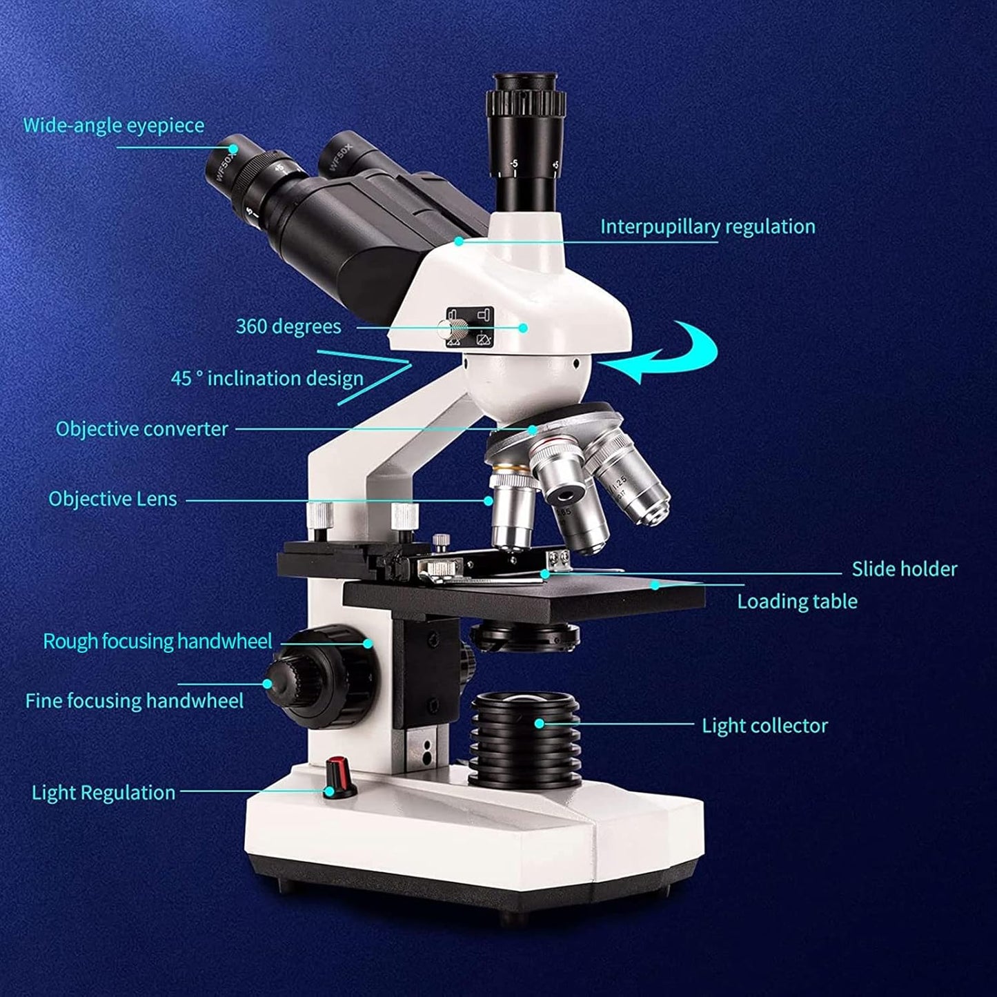 Compound trinocular Microscope, 40X-5000X Magnification, Digital Laboratory trinocular Compound LED Microscope with USB Camera and Mechanical Stage, WF10x and WF20x eyepieces, Abbe Condenser…