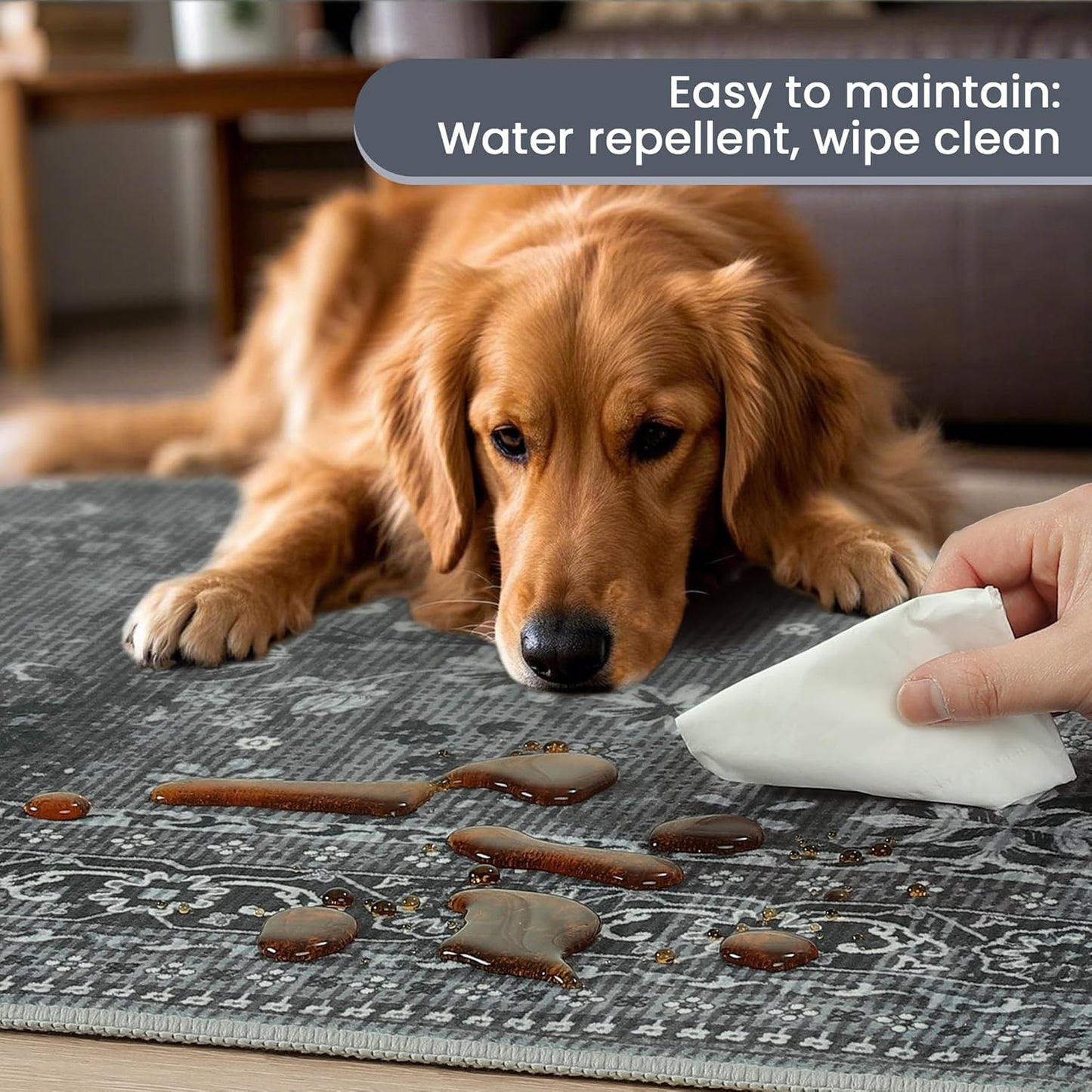 2x6 Washable Kitchen Runner Rug for Hallways, Non Slip Laundry Runners for Bathroom, Low Pile Rubber Backed Rugs for Entryway, Vintage Floral Carpet for Living Room Bedroom Black/Gray