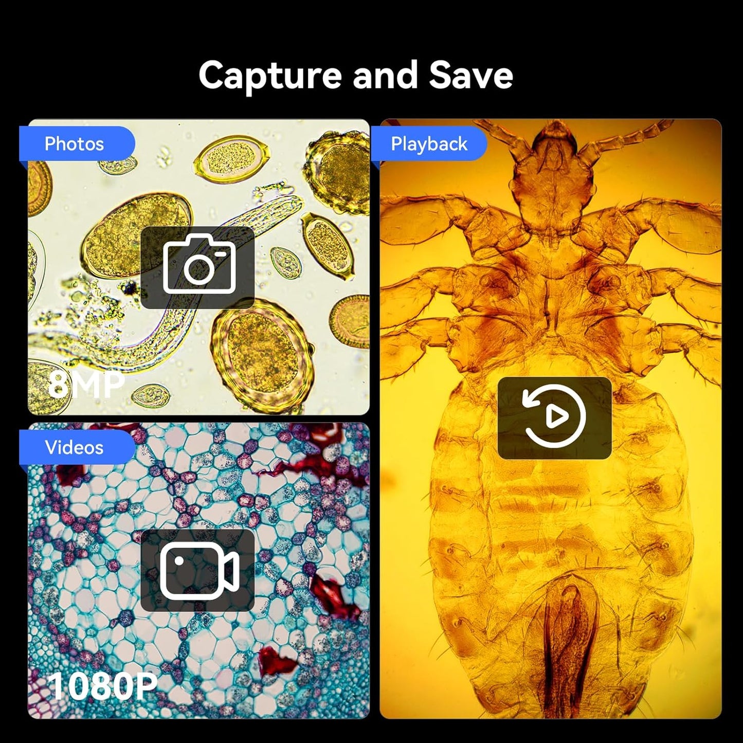 TOMLOV DM301 Max Microscope for Kids Students Adults with X-Y Stage, Digital Microscope Camera with 7" Screen, USB & HDMI Output, Wireless Biological Lab Scope for School Home Education with Slides