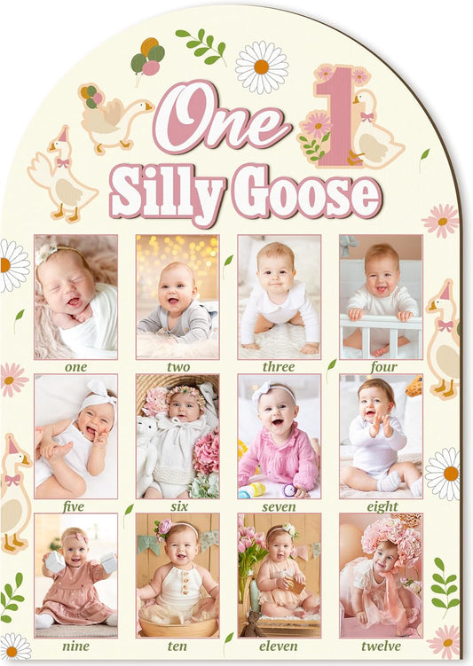 R HORSE My First Year Photo Frame Board, 3D One Silly Goose Birthday Decorations Display Wood Board, Baby First Year Picture Frame 12 Months Milestone 1st Birthday Nursery Decor Gift for Boy Girl