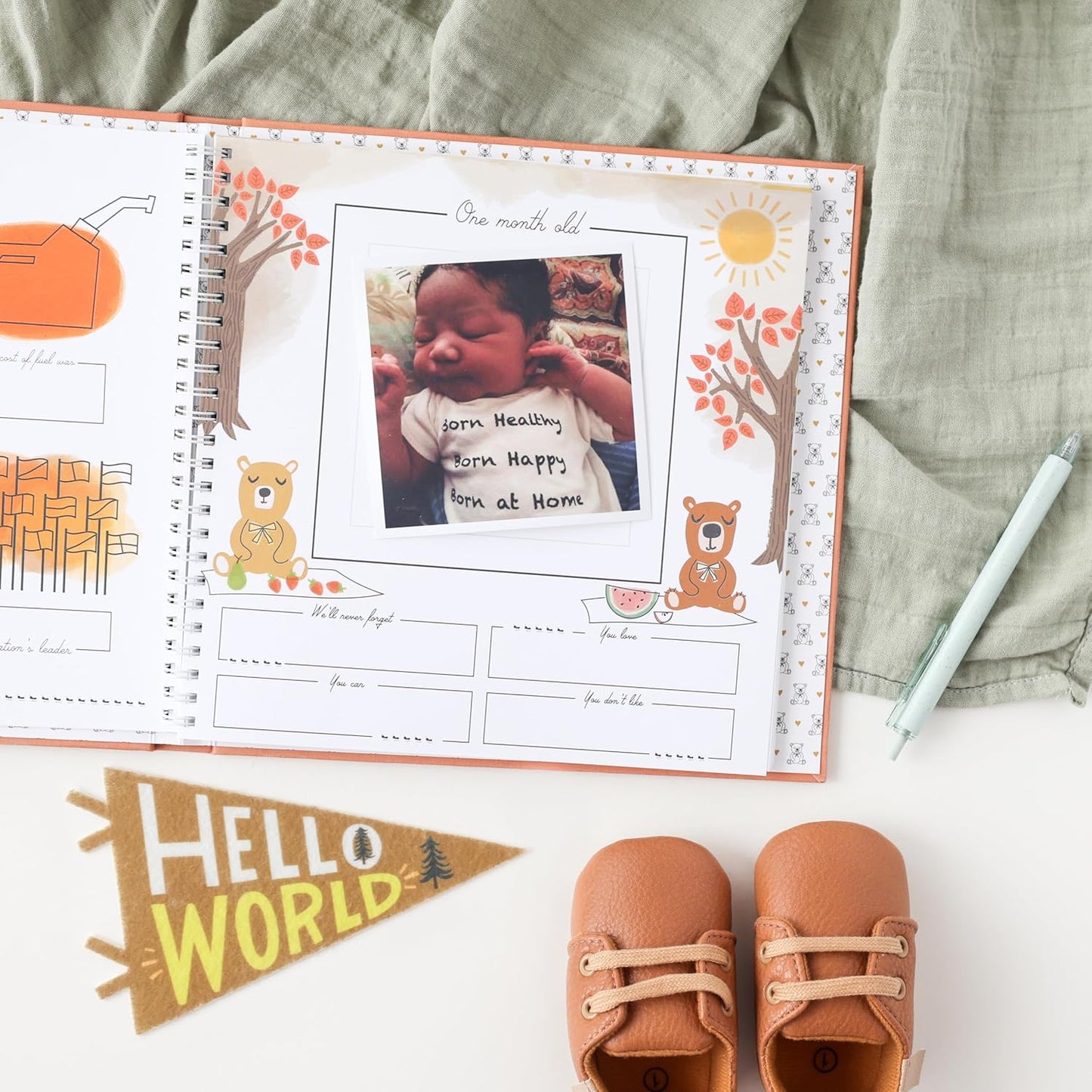 Lucy Darling Baby Memory Book – Teddy Bears' Picnic | Luxury Baby First Year Book & Photo Album | Gender Neutral Keepsake Journal for Milestones, Memories & Photos | Thoughtful Pregnancy Gift